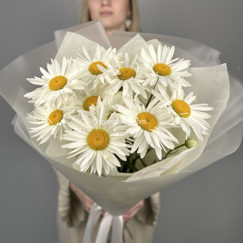 Солнечный символ