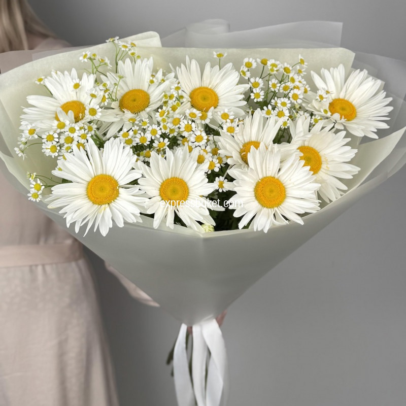 Милые ромашки