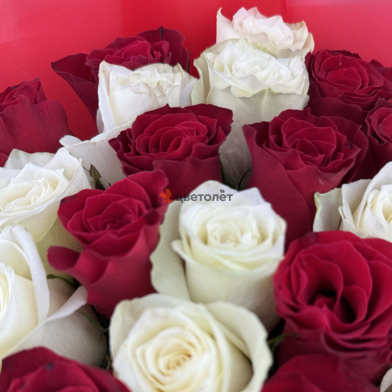 Волшебное утро