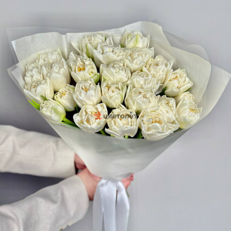 Белые тюльпаны, 25 шт