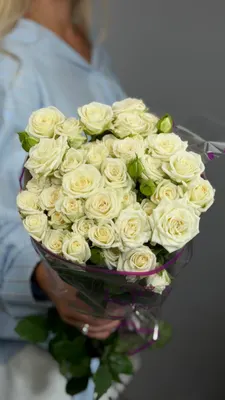 Роза кустовая Жозефина