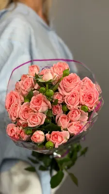 Роза кустовая Фемке