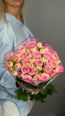 Роза кустовая Супер Сенсейшен