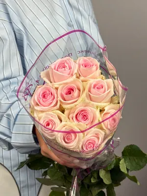 Роза Свит Ревиваль 50 см