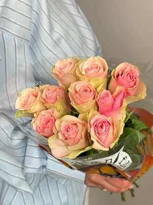 Роза bella rose 40 см Кения
