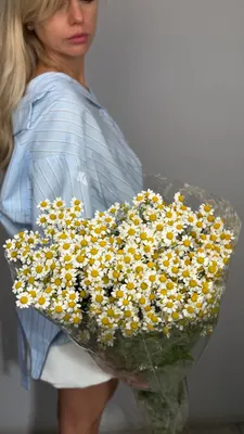 Танацетум