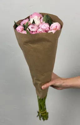 Пионы Сара 50см