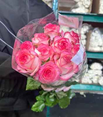 Роза Джумилия 40см