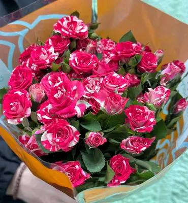 Роза кустовая 60см Кения