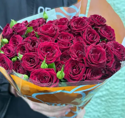 Роза кустовая 60см Кения