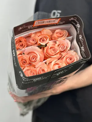 Роза Be Sweet Эквадор 70см