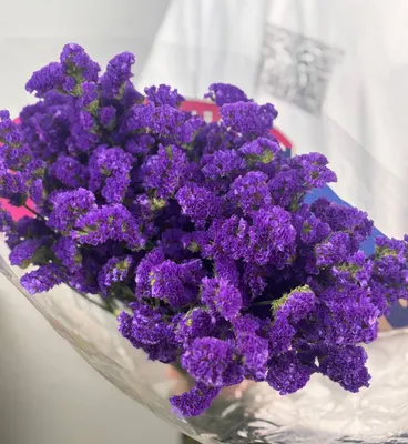 Статица синяя 60см 25шт