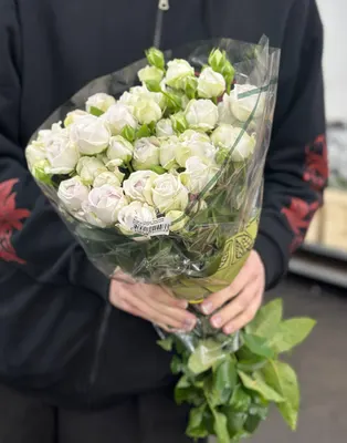 Роза кустоваяя Сильвер Баблс 50см 20шт