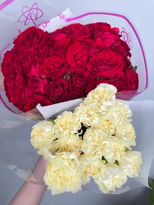 Сет "Алый акцент"