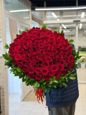 Экспловер 90см 101шт