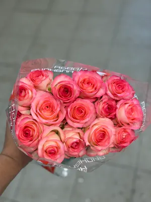 Роза Джулия 15шт