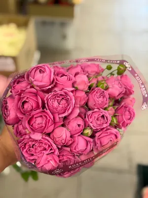Марвелос Баблс 50см, 10шт