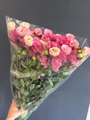 Эустома 60см 10шт