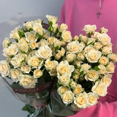 Роза кустовая Крем Грация