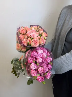 Сет "Хубба Бубба"