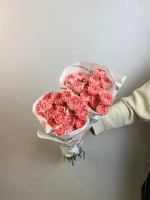 Гвоздика Розовая